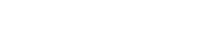 logoipsum-317.png